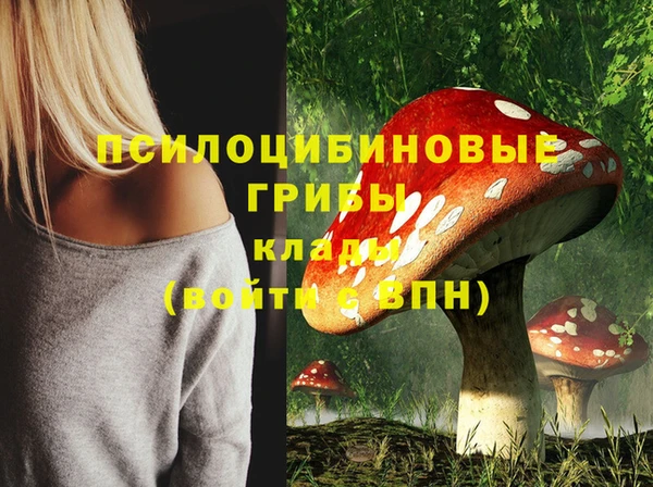 мяу мяу мука Белокуриха