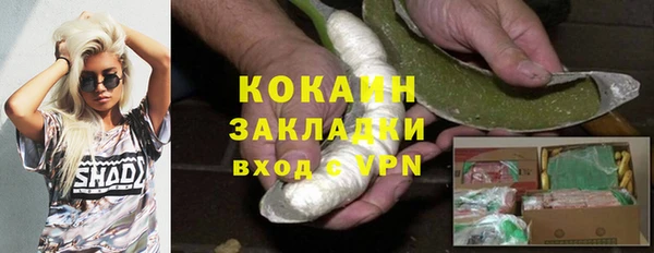 мяу мяу мука Белокуриха
