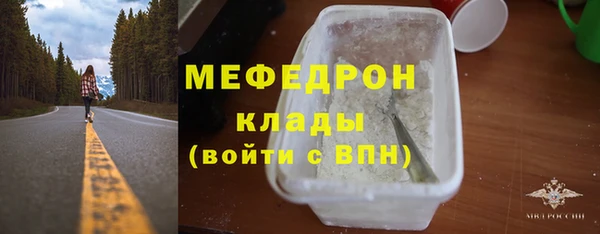 шишки Белокуриха