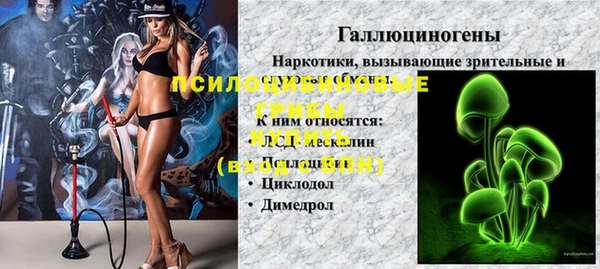 мяу мяу мука Белокуриха