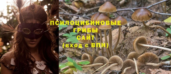 метадон Беломорск