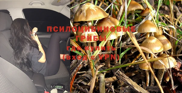 прущая мука Белоозёрский