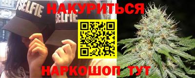 стаф Бийск