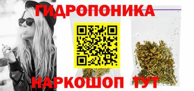 стаф Бийск