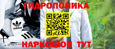 стаф Бийск