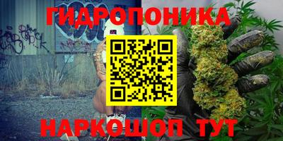 стаф Бийск