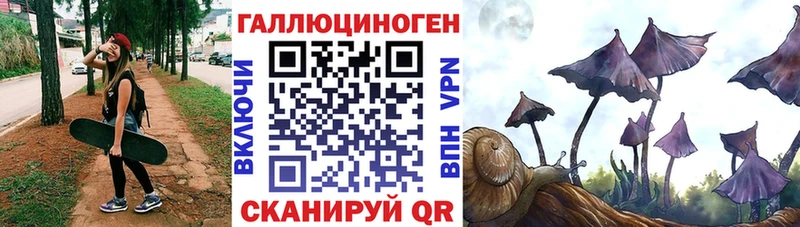 Псилоцибиновые грибы прущие грибы  Вязники 