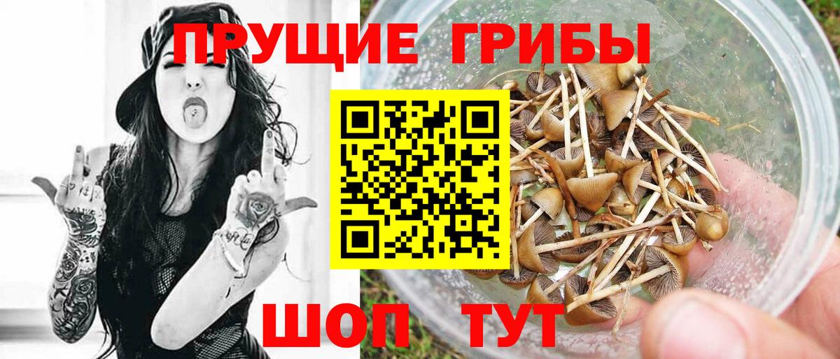 Галлюциногенные грибы GOLDEN TEACHER Вязники
