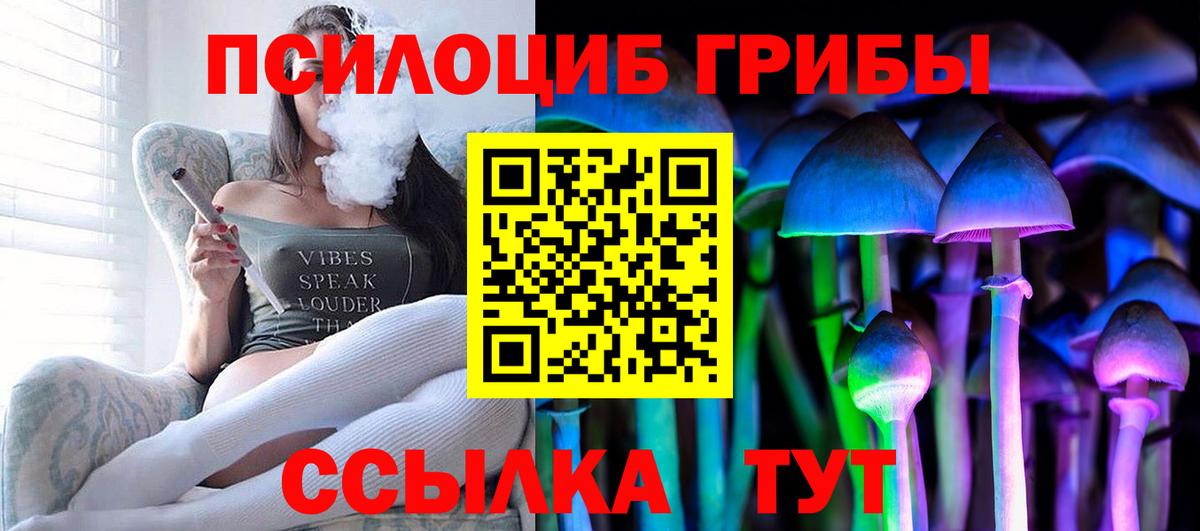 Псилоцибиновые грибы прущие грибы  Вход с VPN  Вязники 